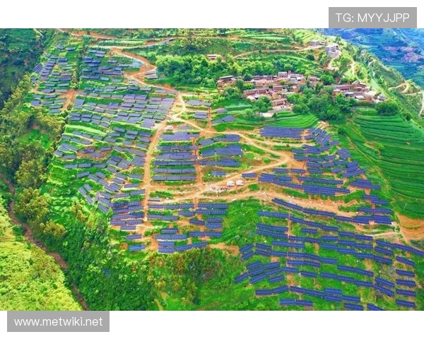 聚焦天津企业家创新故事描绘新时代滨城经济腾飞宏伟发展蓝图新篇章